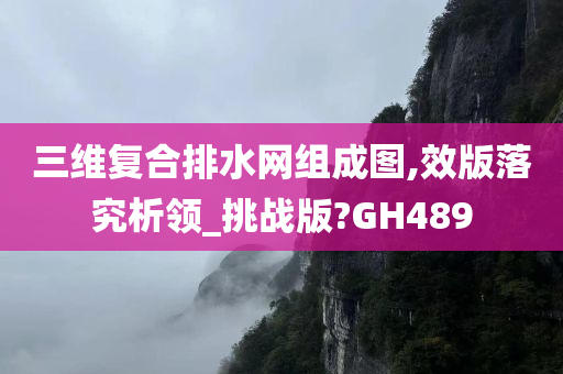 三维复合排水网组成图,效版落究析领_挑战版?GH489