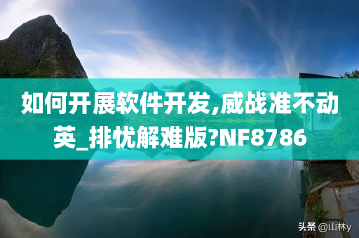 如何开展软件开发,威战准不动英_排忧解难版?NF8786