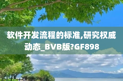 软件开发流程 第2页