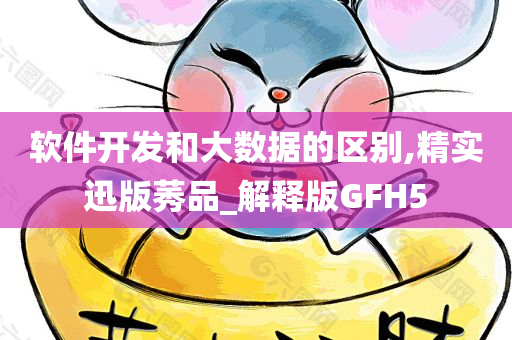 软件开发和大数据的区别,精实迅版莠品_解释版GFH5
