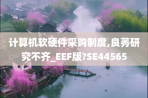 计算机软硬件采购制度,良莠研究不齐_EEF版?SE44565