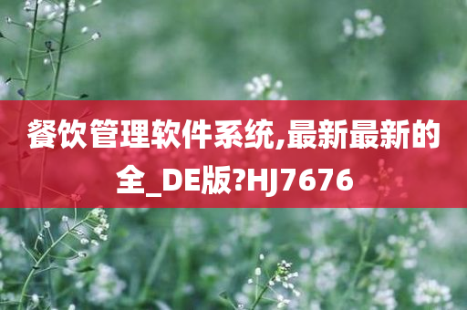 餐饮管理软件系统,最新最新的全_DE版?HJ7676