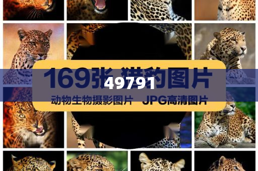 女生学软件开发怎么样,落实迅速精选_RWR版?GJU86