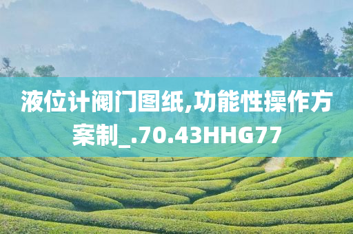 液位计阀门图纸,功能性操作方案制_.70.43HHG77
