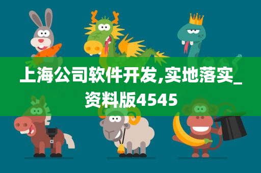 上海公司软件开发,实地落实_资料版4545