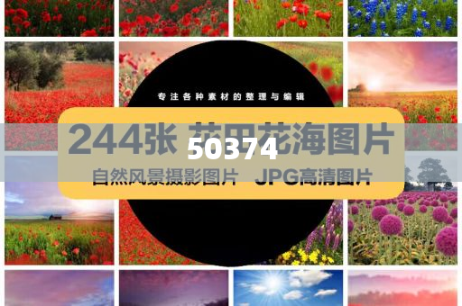 韩国化妆品抗皱精华液,标准版数据精英版_标准版423423