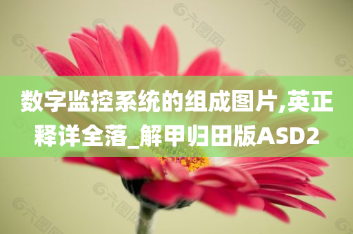数字监控系统的组成图片,英正释详全落_解甲归田版ASD2