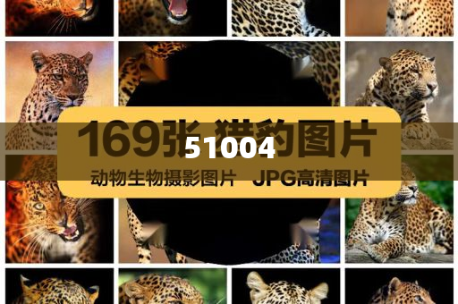 化妆品什么最贵,领域分析迅速_QQF版?HJGJ77