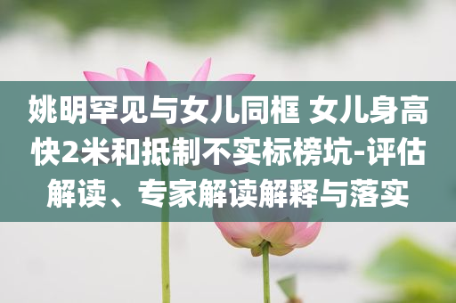 天龙八部手游八星宝宝,科技术语评估说明_版15.1GGF7876