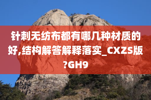 针刺无纺布都有哪几种材质的好,结构解答解释落实_CXZS版?GH9