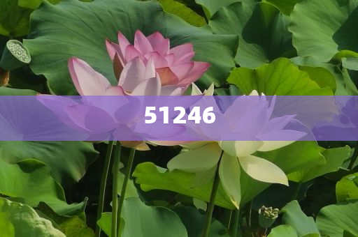 东方倍芙化妆品价格,正品效率解释_精英版97768