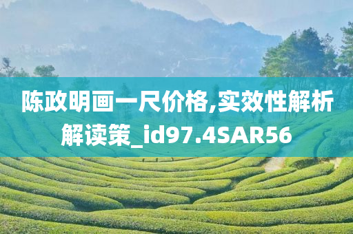 陈政明画一尺价格,实效性解析解读策_id97.4SAR56