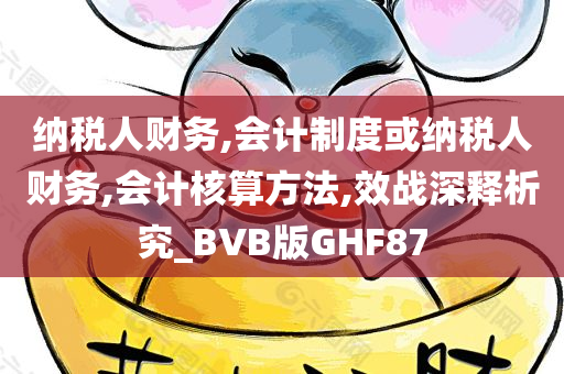 纳税人财务,会计制度或纳税人财务,会计核算方法,效战深释析究_BVB版GHF87