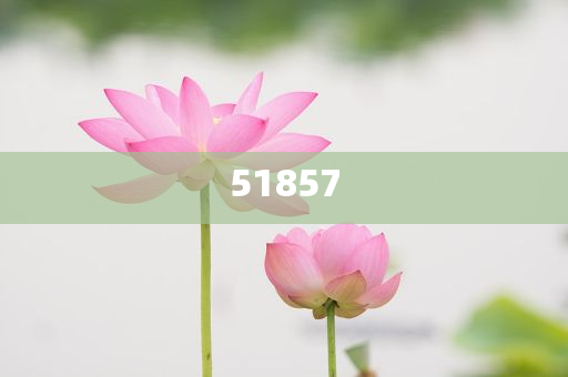 做化妆品代理好吗,版准据据选解_不解之缘版FF45