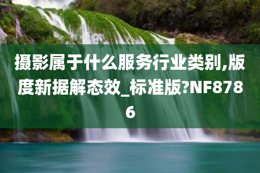 摄影属于什么服务行业类别,版度新据解态效_标准版?NF8786