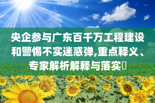 杨式40太极拳教学视频,资源整合策略实施_移动版GGF7876