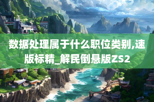 数据处理属于什么职位类别,速版标精_解民倒悬版ZS2