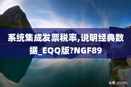 系统集成发票税率,说明经典数据_EQQ版?NGF89