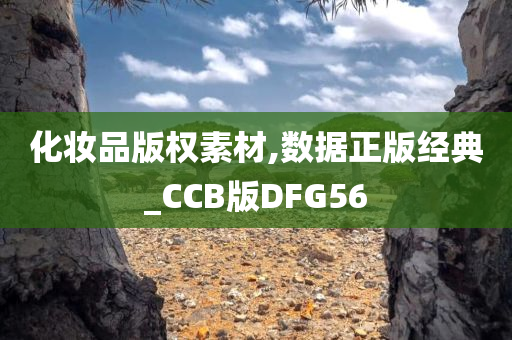 chenyibo 第66页