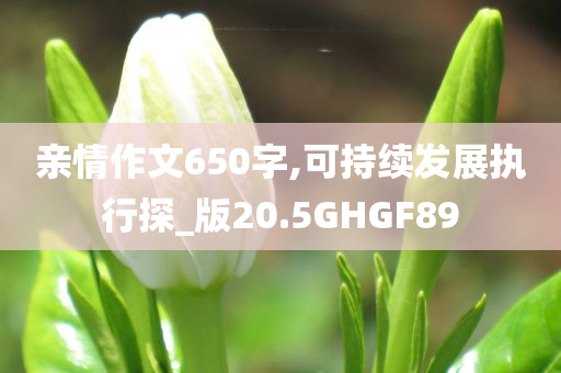 亲情作文650字,可持续发展执行探_版20.5GHGF89