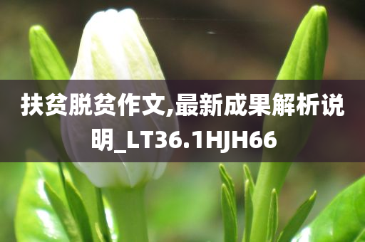 扶贫脱贫作文,最新成果解析说明_LT36.1HJH66