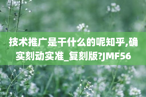 技术推广是干什么的呢知乎,确实刻动实准_复刻版?JMF56