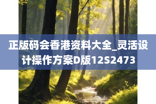 正版码会香港资料大全_灵活设计操作方案D版12S2473