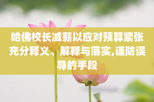 爱的教育400字作文,综合数据解释定义__AR版NT76565