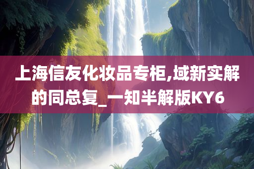 上海信友化妆品专柜,域新实解的同总复_一知半解版KY6
