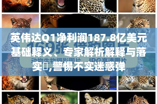 漫家家具,实地验证方案策略_版81.2NF8786