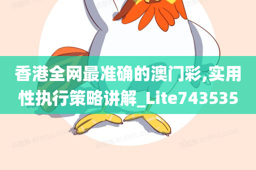 香港全网最准确的澳门彩,实用性执行策略讲解_Lite743535