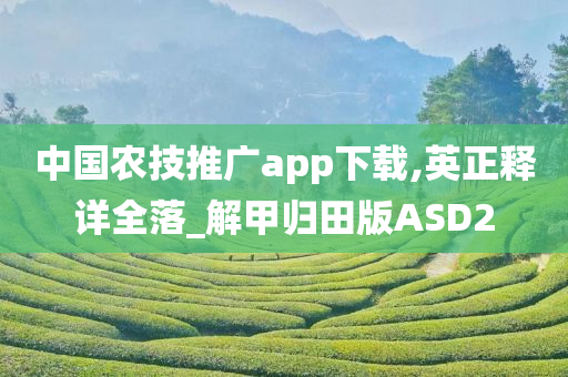 APP下载