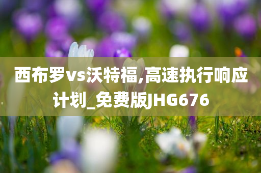 西布罗vs沃特福,高速执行响应计划_免费版JHG676