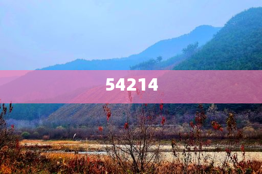 技术交流会需要准备什么,复刻版_EE533