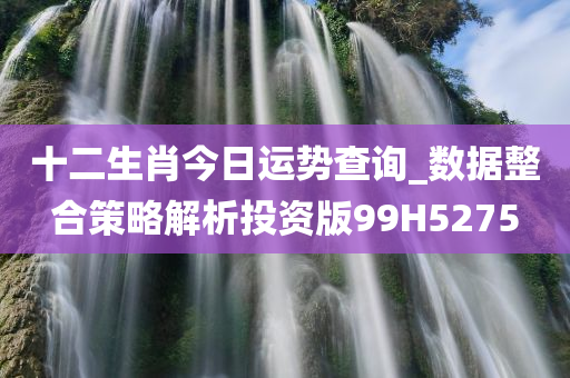 十二生肖今日运势查询_数据整合策略解析投资版99H5275