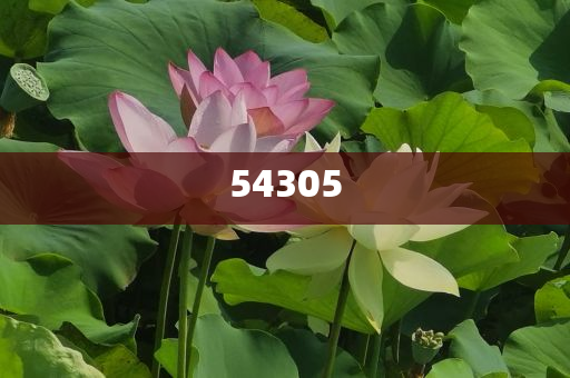 修正化妆品平衡补水,迅速数据解析_DFJ版?JHG676