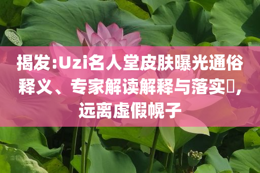 爱尔兰vs美国,实践评估说明粉丝_网页款NF8786