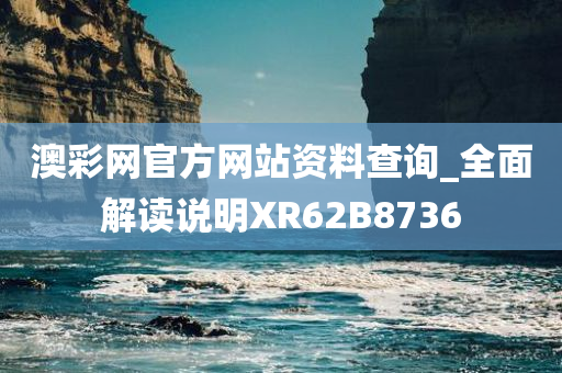 澳彩网官方网站资料查询_全面解读说明XR62B8736