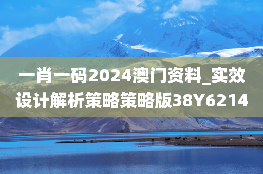 一肖一码2024澳门资料_实效设计解析策略策略版38Y6214