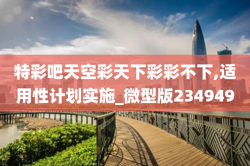 特彩吧天空彩天下彩彩不下,适用性计划实施_微型版234949
