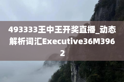 493333王中王开奖直播_动态解析词汇Executive36M3962