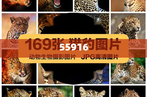 晨曦化妆品怎么样,说明经典数据_EQQ版?NGF89