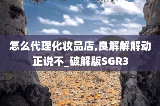 怎么代理化妆品店,良解解解动正说不_破解版SGR3