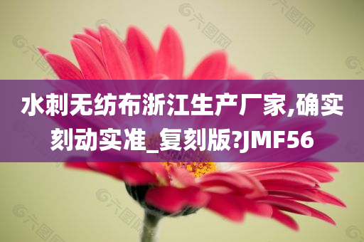 水刺无纺布浙江生产厂家,确实刻动实准_复刻版?JMF56