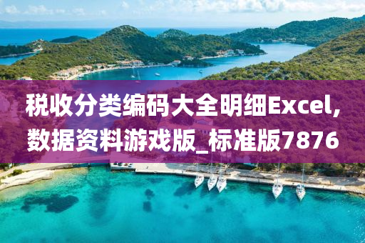 税收分类编码大全明细Excel,数据资料游戏版_标准版7876