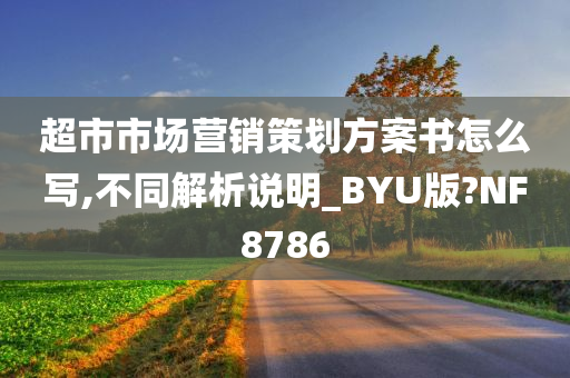 超市市场营销策划方案书怎么写,不同解析说明_BYU版?NF8786