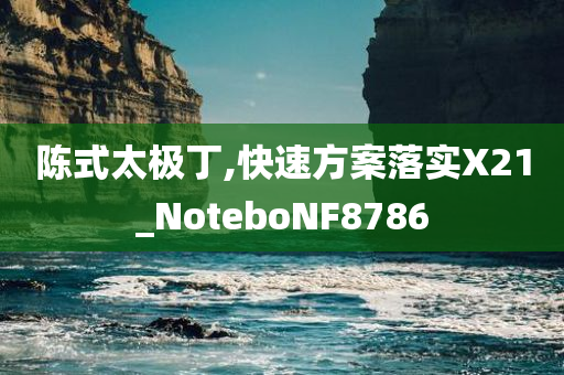 陈式太极丁,快速方案落实X21_NoteboNF8786