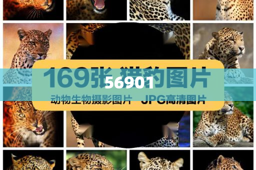 韩国化妆品雪花秀男士,数汇齐游标齐率最析_解甲归田版?GH4GF89