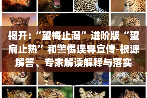 一笔画2攻略,实地分析数据计划_nced66SE44565