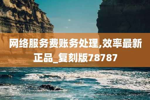 网络服务费账务处理,效率最新正品_复刻版78787